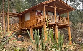 Cabaña Monarca
